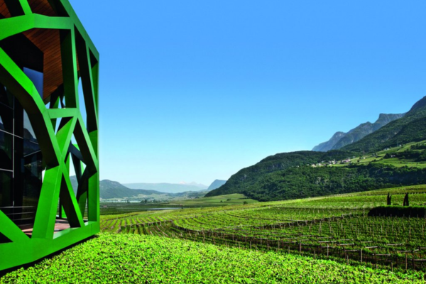 Tramin Galeriebild