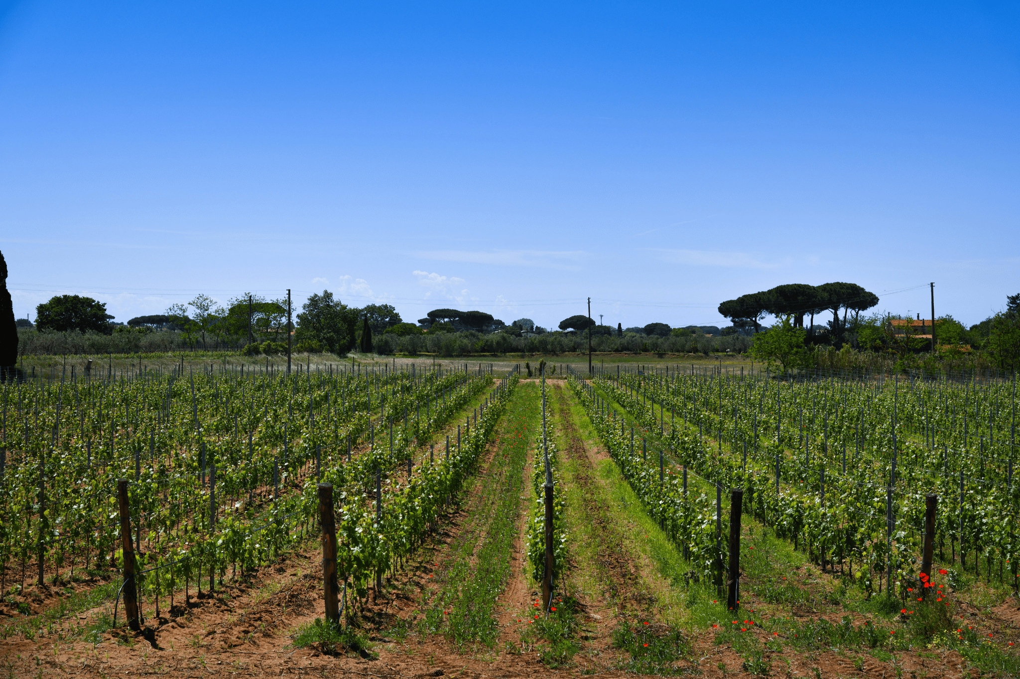 Podere 7 Sette Galeriebild