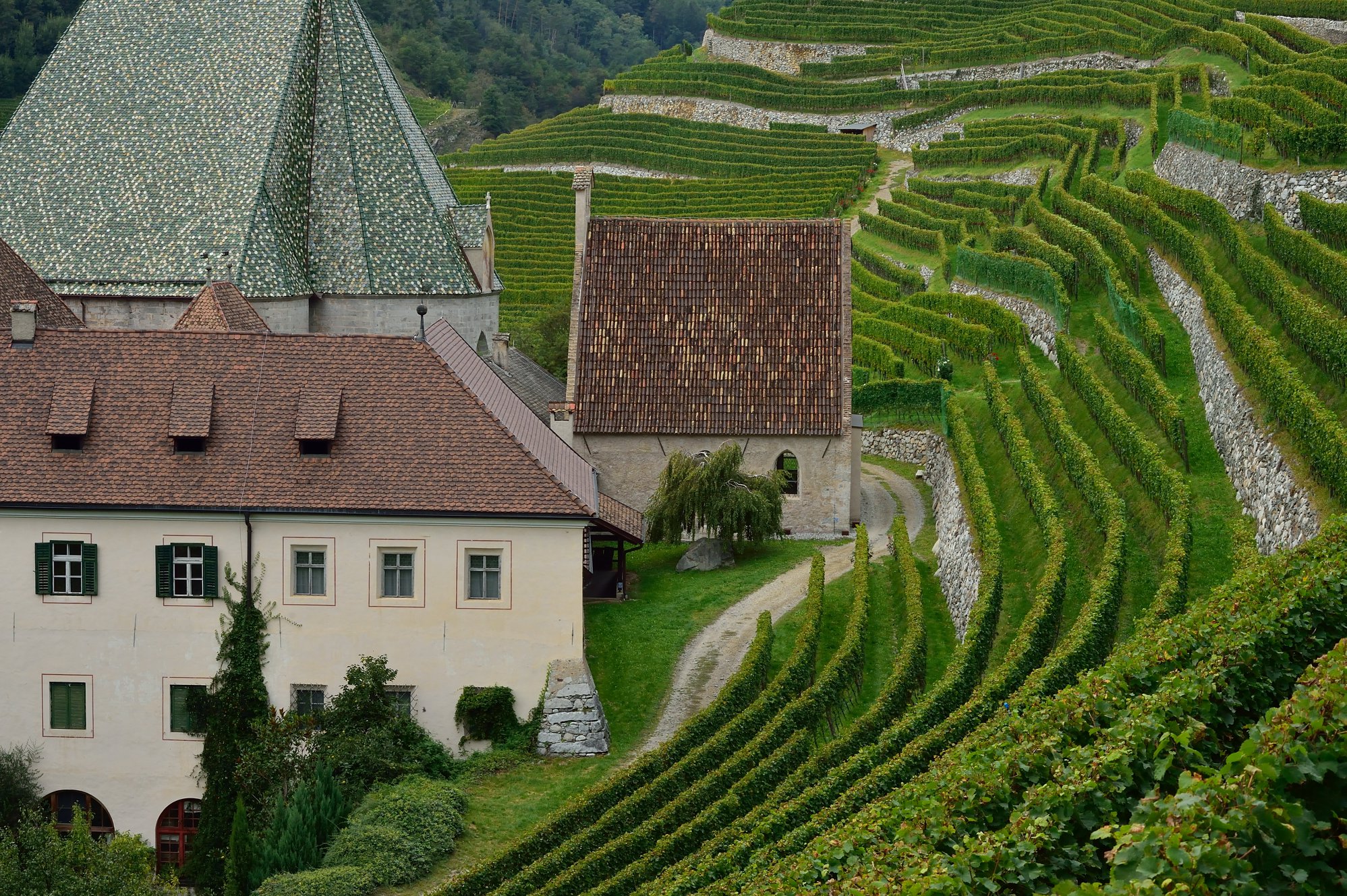 Stiftskellerei Neustift Galeriebild