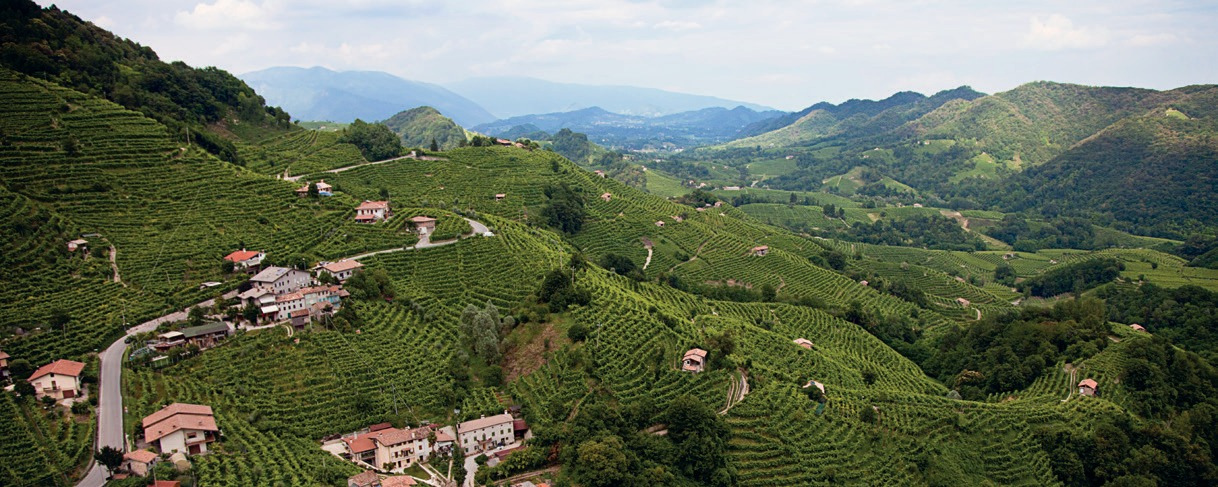 Prosecco
