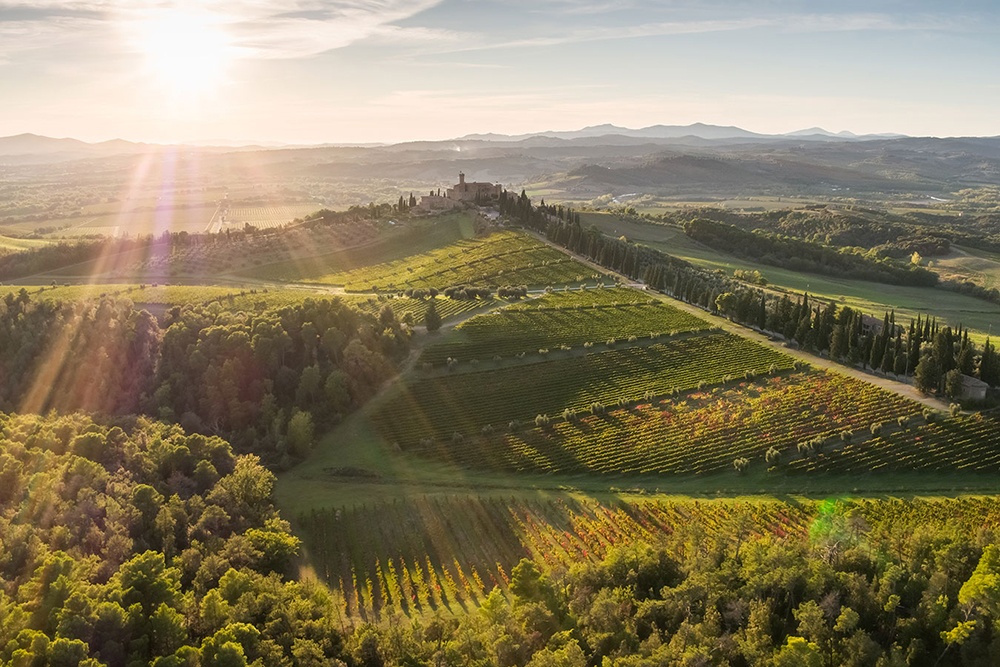Brunello