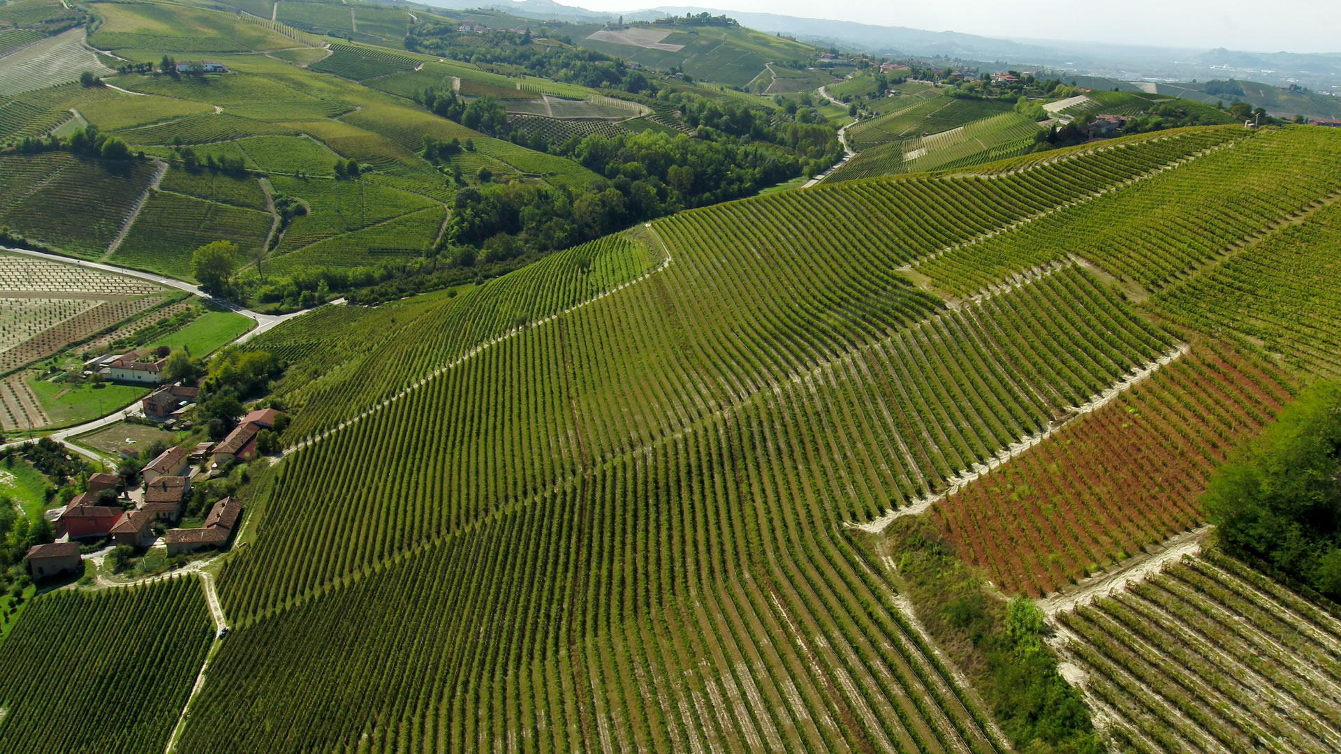 Barbaresco