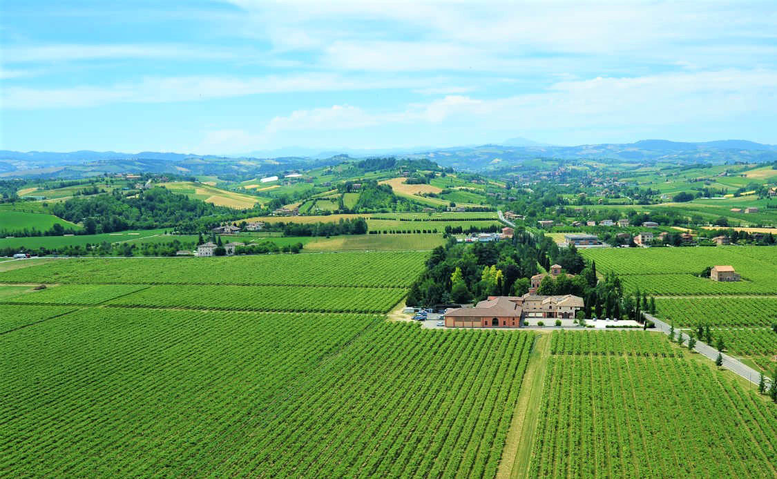 Lambrusco