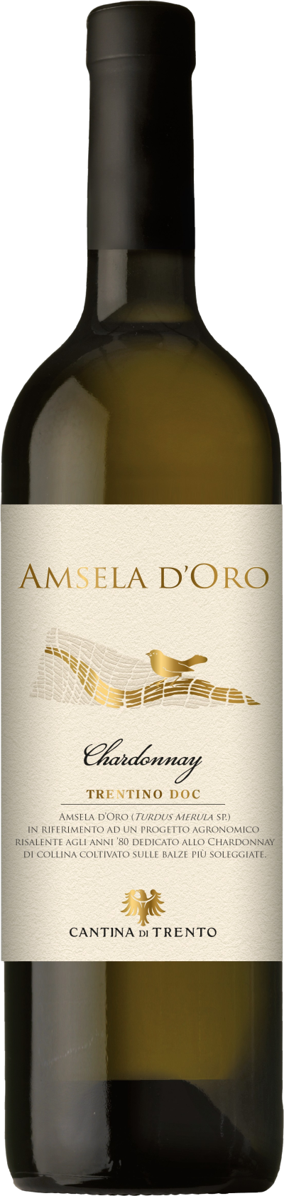 Chardonnay Trentino DOC Amsela d'Oro