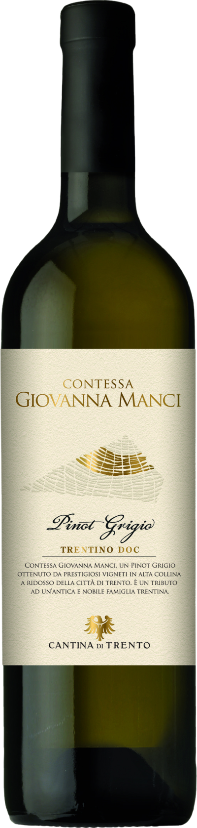 Pinot Grigio Trentino DOC Contessa Manci