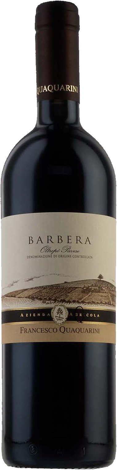Barbera Frizzante DOC Bio