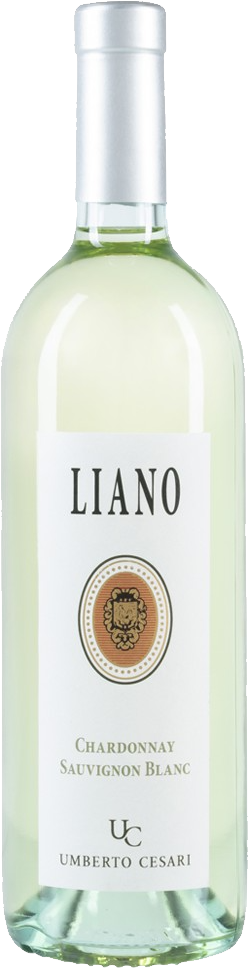 Liano Chardonnay Sauvignon Blanc IGT
