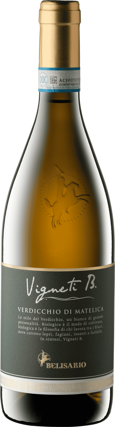 Vigneti B. Verdicchio di Matelica DOC Bio