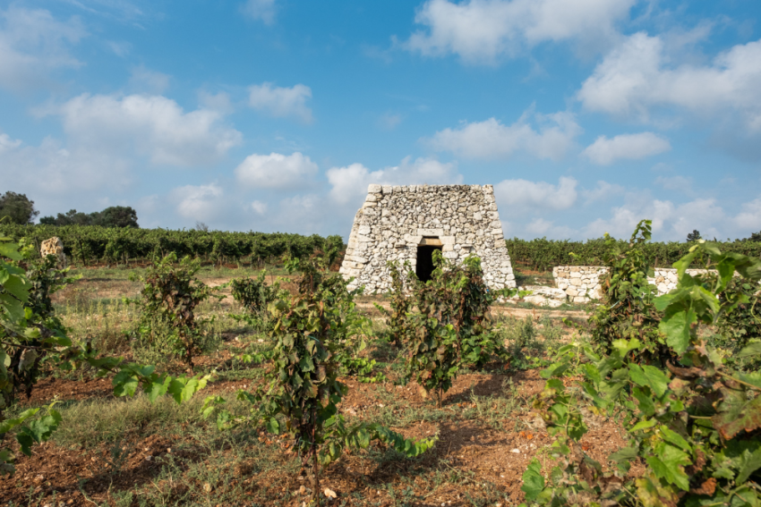 Menhir Salento Galeriebild