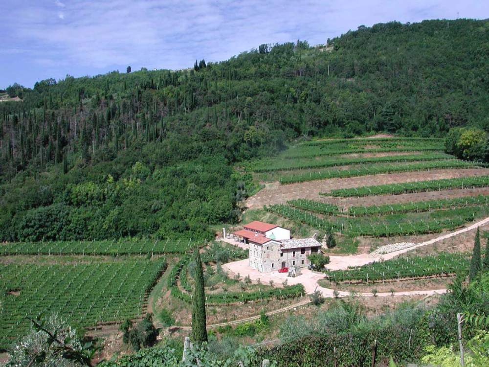 Monte del Fra Galeriebild